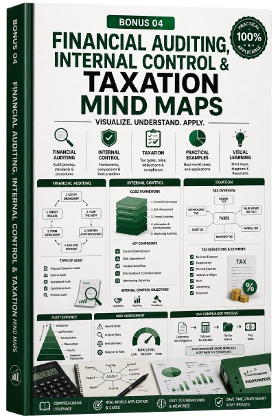 Bonus 04 - Financial Auditing, Internal Control & Taxation Mind Maps
